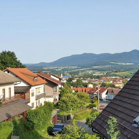 Grosszuegige Ferienwohnung In Furth Im Wald Buitenkant foto